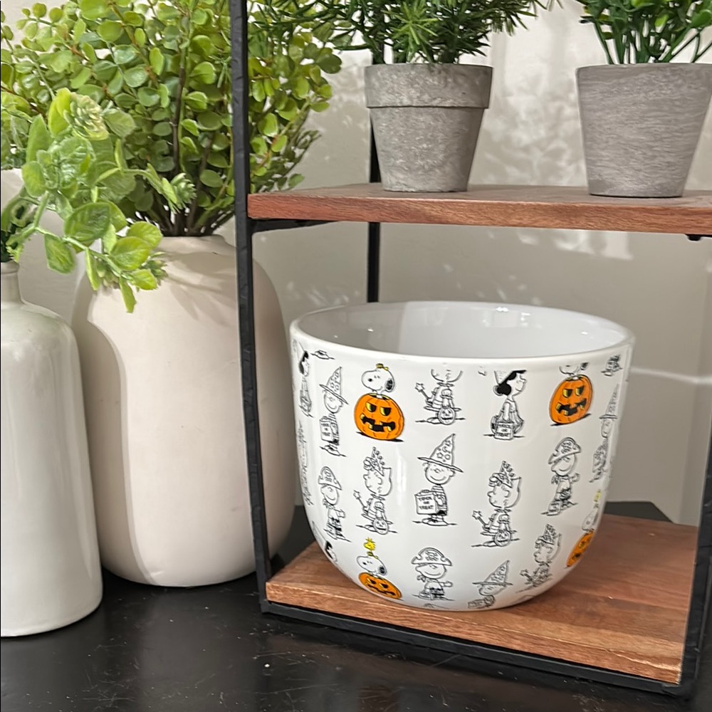 NWT Halloween Themed Ceramic Bowl